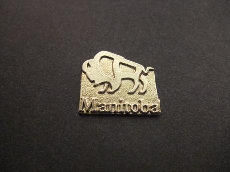 Manitoba provincie van Canada zilverkleurig